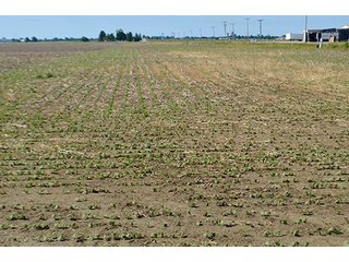 Property photo 57 - FARM & LAND AUCTION - 125+/- ACRES OFFERED IN 5 TRACTS IN EAST ALLEN COUNTY, INDIANA